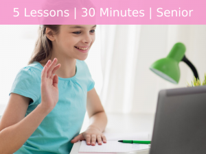 Private On-line Learning Package with Senior Instructors - 5 Lessons - 30 Minutes